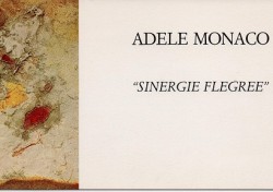 Adele Monaco – Sinergie Flegree